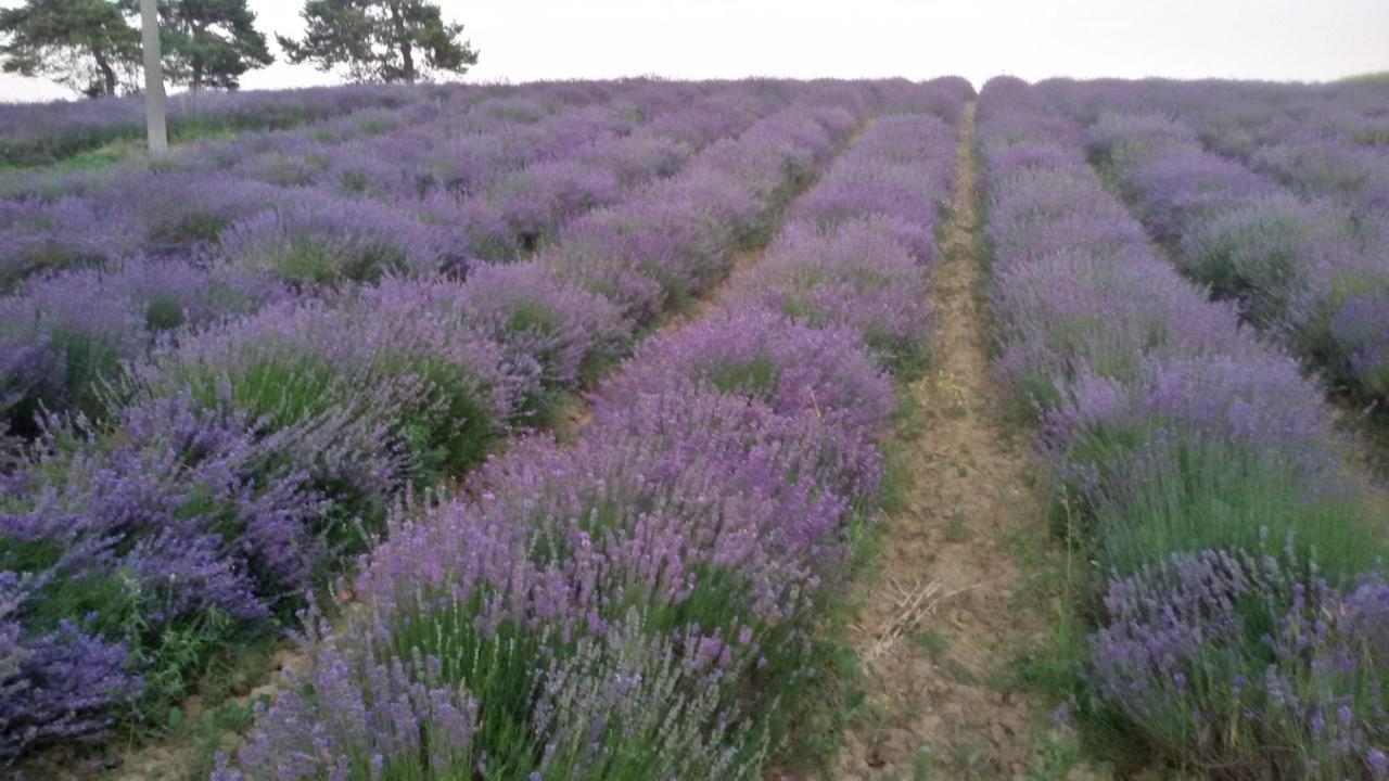 B&B Cascina Grattinera Sale San Giovanni Dış mekan fotoğraf